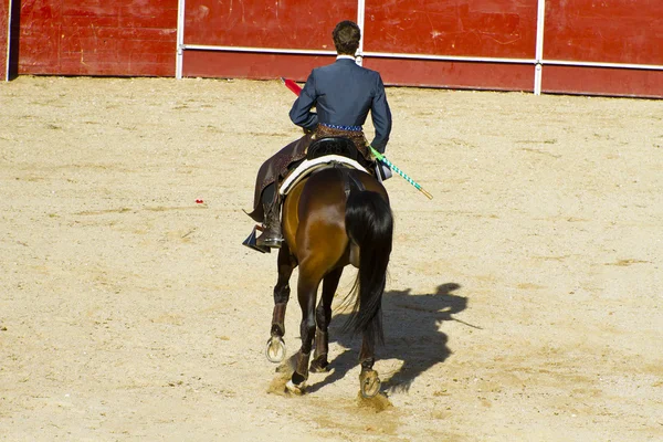 Πολεμώντας την εικόνα ταύρου από την Ισπανία. Μαύρος ταύρος — Φωτογραφία Αρχείου