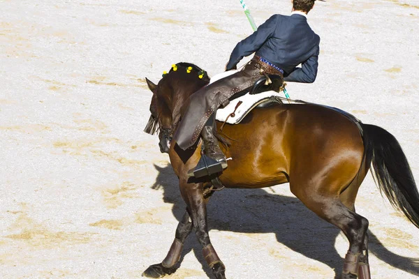 Foto di combattimento toro dalla Spagna. Toro nero — Foto Stock