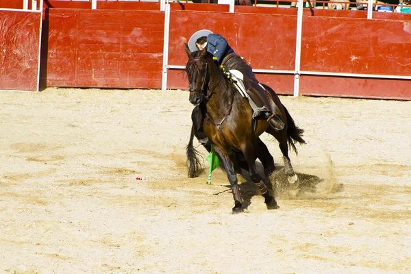 Pertarungan banteng di atas kuda. Tipikal pertarungan banteng Spanyol . — Stok Foto