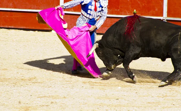 Matador en de stier in stierengevecht. Madrid, Spanje. — Stockfoto