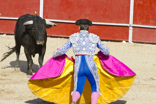 マタドールと闘牛の牛。マドリード、スペイン. — ストック写真