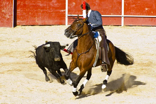 Une corrida à cheval. Typique corrida espagnole . — Photo