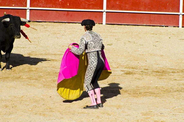 Matador e toro nella corrida. Madrid, Spagna . — Foto Stock