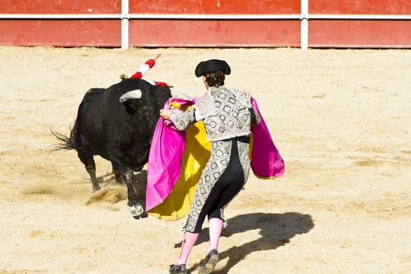 Matador a býk v býčím zápase. Madrid, Španělsko. — Stock fotografie