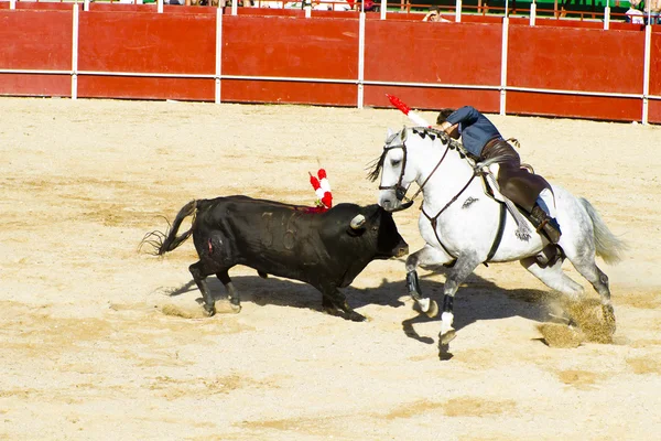 马背上的斗牛。典型的西班牙斗牛. — 图库照片