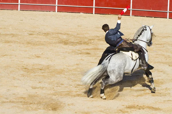Bullfight on horseback. Typical Spanish bullfight. — Stock Photo, Image