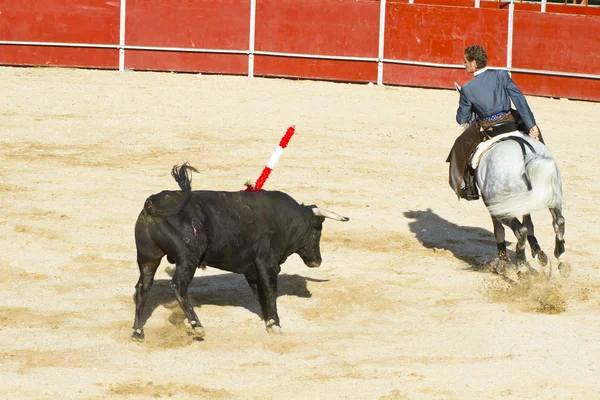 MADRID, ESPAÑA - 10 DE SEPTIEMBRE: corridas de toros españolas. 10 de septiembre , — Foto de Stock