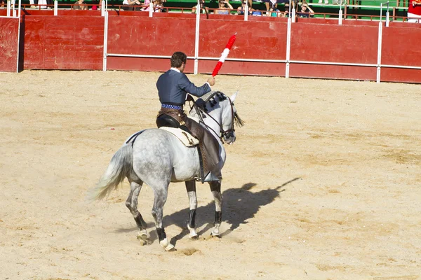 Bullfight on horseback. Typical Spanish bullfight. — Stock Photo, Image