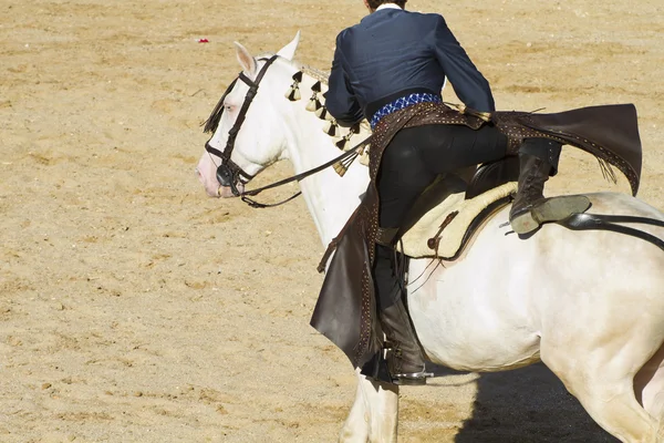 Tyrefægtning til hest. Typisk spansk tyrefægtning . - Stock-foto