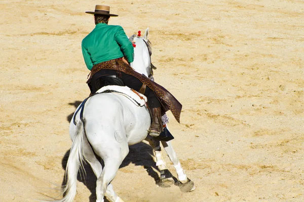Une corrida à cheval. Typique corrida espagnole . — Photo