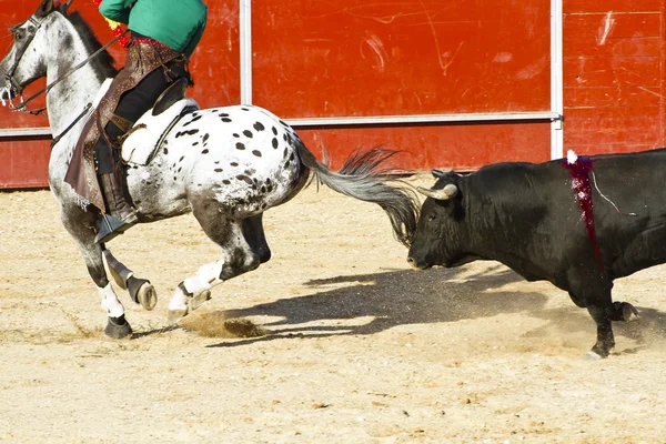 Stierengevecht te paard. typisch Spaans stierengevecht. — Stockfoto