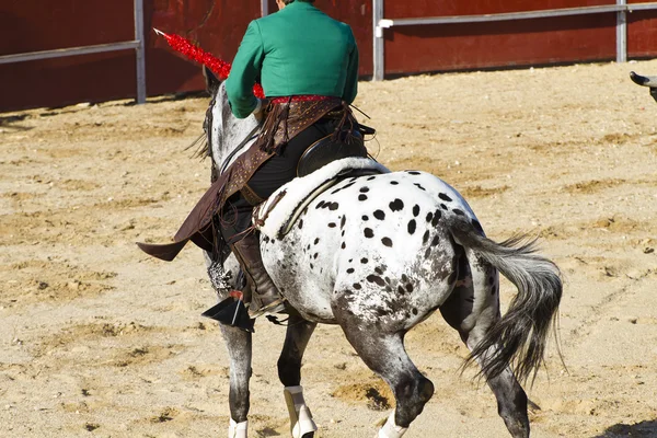 Кориді верхи на конях. Типовий іспанський кориди. — стокове фото