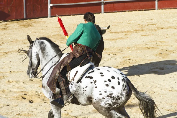 乗馬の闘牛。典型的なスペインの闘牛. — ストック写真