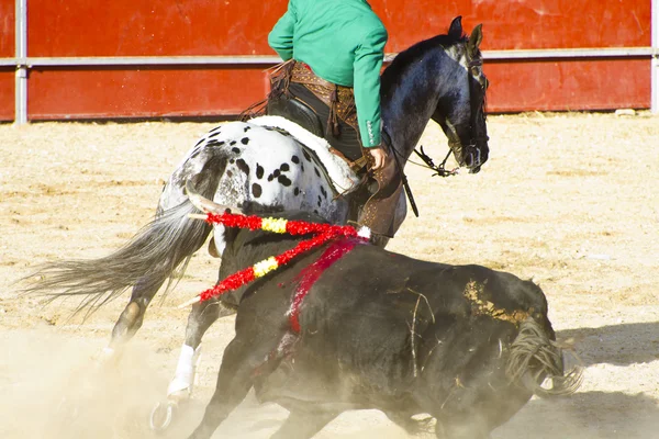 Stierkampf zu Pferd. Typischer spanischer Stierkampf. — Stockfoto