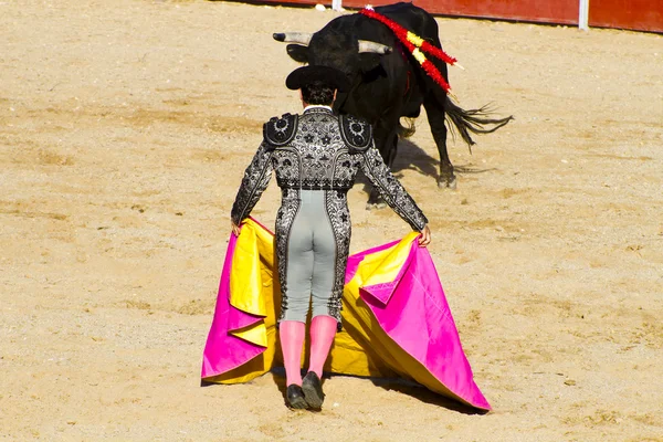 มาทาดอร์และวัวในการต่อสู้วัว มาดริด, สเปน . — ภาพถ่ายสต็อก
