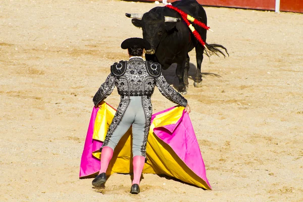 Matador a býk v býčím zápase. Madrid, Španělsko. — Stock fotografie