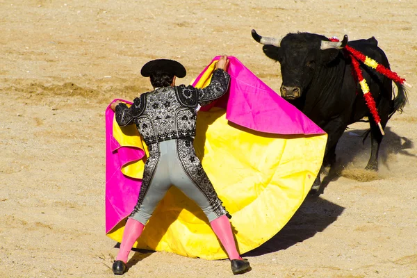 Matador et taureau en corrida. Madrid, Espagne . — Photo