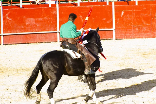 Bikaviadal lóháton. tipikus spanyol bikaviadal. — Stock Fotó