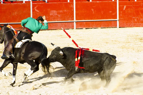 乗馬の闘牛。典型的なスペインの闘牛. — ストック写真