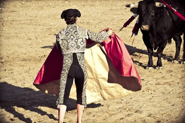 Matador és bika bikaviadalt. Madrid, Spanyolország. — Stock Fotó