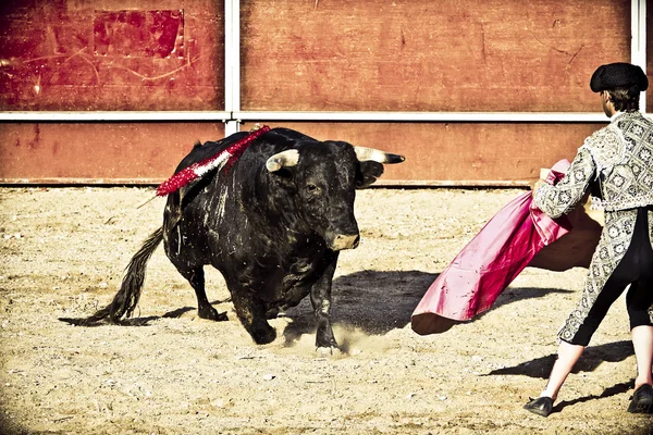 斗牛士与公牛在斗牛。马德里西班牙. — 图库照片