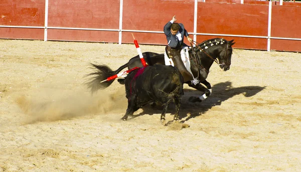 Μαδρίτης, Ισπανία - Σεπτεμβρίου 10: ισπανικών ταυρομαχιών. 10 Σεπτεμβρίου, — Φωτογραφία Αρχείου