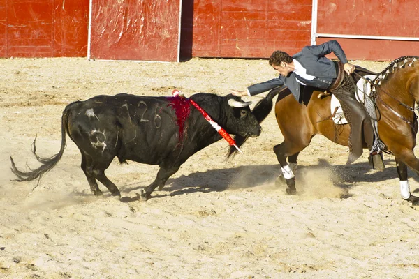 MADRID, ESPAÑA - 10 DE SEPTIEMBRE: corridas de toros españolas. 10 de septiembre , —  Fotos de Stock
