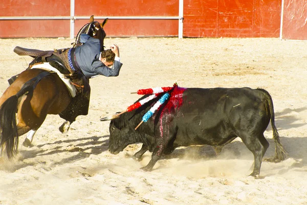 MADRID, SPAIN - SEPTEMBER 10: spanish bullfight. September 10, — Stock Photo, Image
