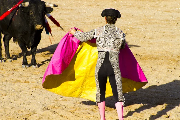 Matador y toro en corrida de toros. Madrid, España . — Foto de Stock