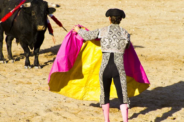 Matador och bull i tjurfäktningen. Madrid, Spanien. — Stockfoto