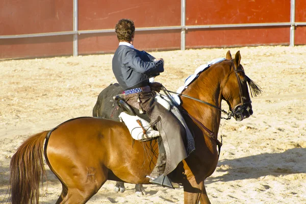 Stierkampf zu Pferd. Typischer spanischer Stierkampf. — Stockfoto