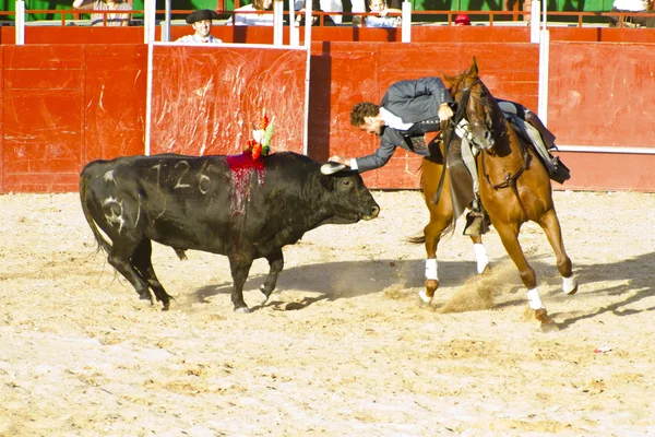 Madrid, spanien - 10. September: Spanischer Stierkampf. 10. September, — Stockfoto