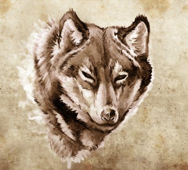 Sketch of tattoo art, Illustration of a Wolf head clipart