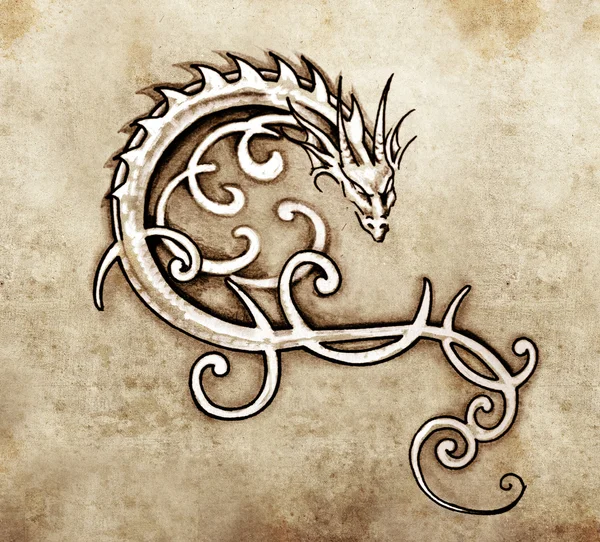 Skica o tetování, dekorativní drak — Stock fotografie