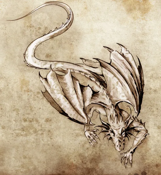 Náčrt tetování umění, moderní drak — Stock fotografie