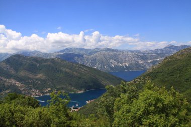 Kotor ve tivat koylar