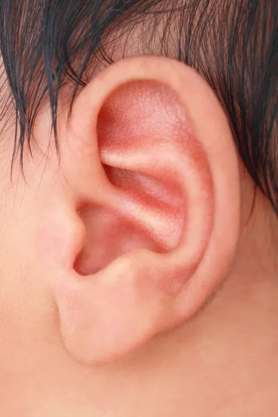 Nahaufnahme des linken Ohres des Babys Stockbild