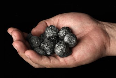 Hand holding a bunch of coal clipart