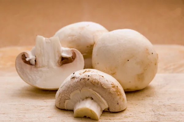 stock image Mushrooms