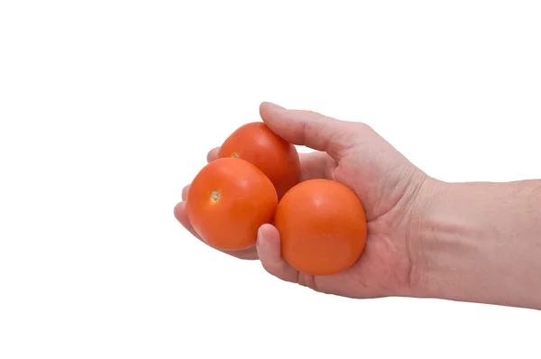 Mão & Tomates — Fotografia de Stock