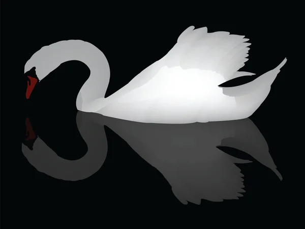Cisne aislado en negro — Vector de stock