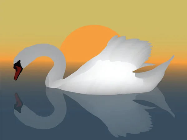Cisne en el lago por la noche — Vector de stock