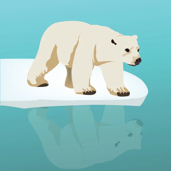北极熊在冰上 — 图库照片