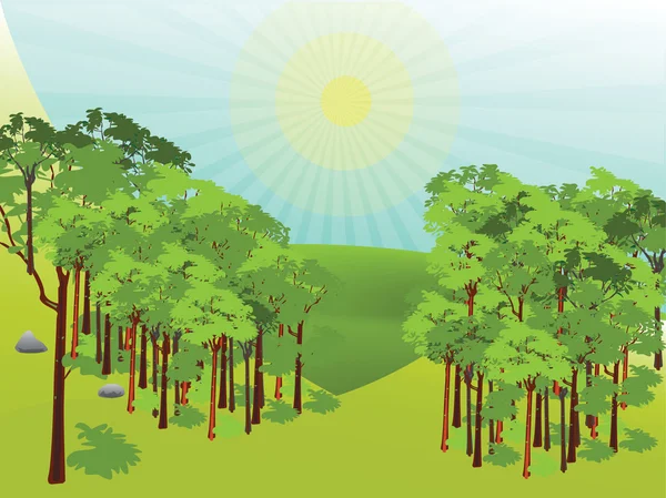 Słoneczny lasu — Wektor stockowy
