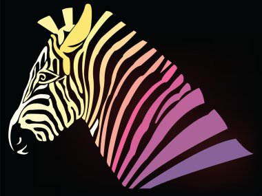 soyut renkli zebra