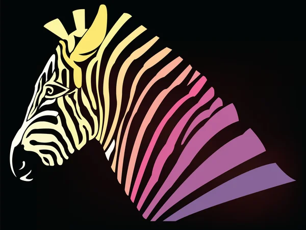 soyut renkli zebra