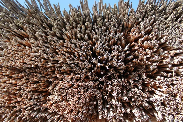 stock image Part of thatch roof