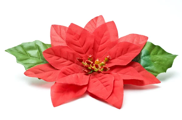 Fake poinsettia with two leaves top view — Stock Photo, Image