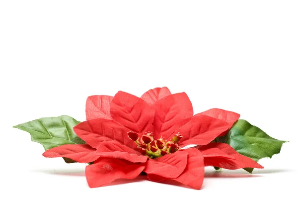 Fake poinsettia with two leaves side view — Stock Photo, Image