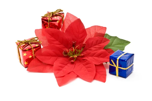Poinsettia falsa con cajas de regalo — Foto de Stock